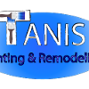 Tanis Logo Remake